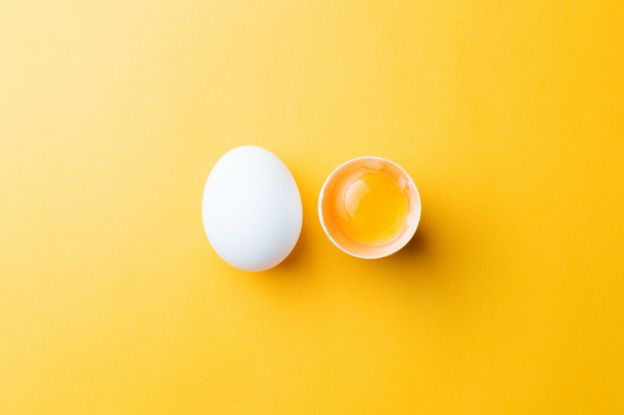 The Incredible, Edible Egg
