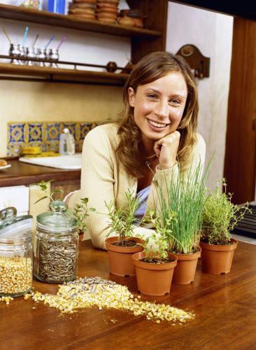 Herb garden starter kit