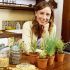 Herb garden starter kit