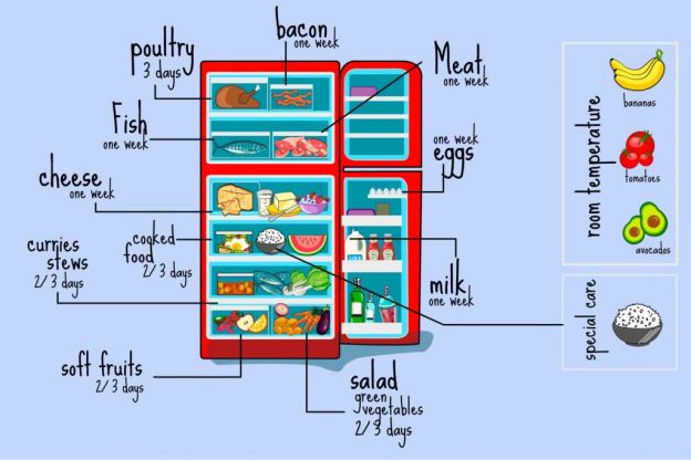 HOW TO ORGANIZE YOUR REFRIGERATOR