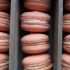 Macarons - France