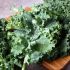 33) Kale Is The Most Nutritious LEAFY GREEN Of All