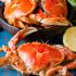 Shellfish