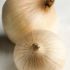 Onions