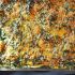 Eggs Florentine Casserole