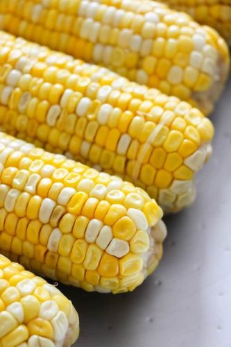 Corn On The cob