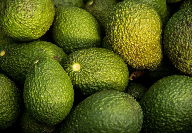 1. 95% of All American Avocados Can Be Traced to One Tree