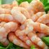 Shrimp