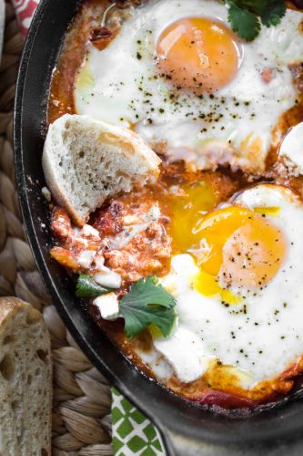 Harissa Shakshuka