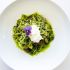Farfalle with Pesto, Bacon and Homemade Ricotta