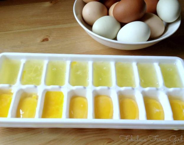 Freeze Egg Whites & Yolks in Bulk