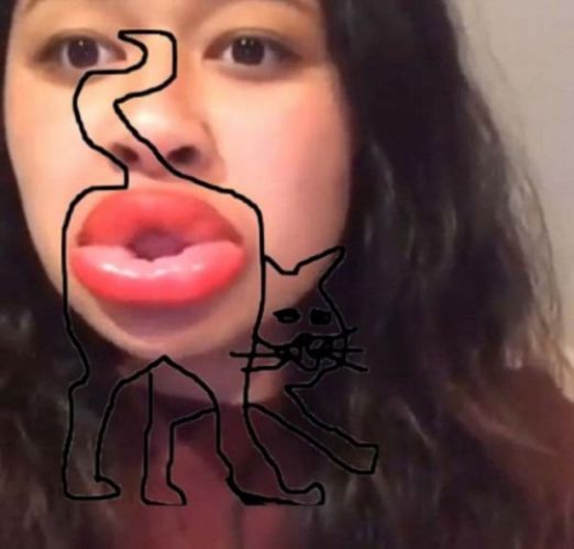 That duck face selfie looks like a cat's ass