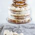 GINGERBREAD CAKE WITH CINNAMON CREAM CHEESE FROSTING