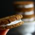 Vegan gingersnap sandwich cookies