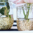 Keep it simple- Don't buy new decorations!