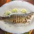 Big Green Egg Grilled Branzino
