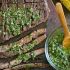 Grilled flank steak with chimichurri