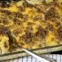 Hamburger potato casserole