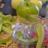Use A Hand-Crank Apple Peeler