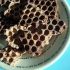 Chocolate honeycomb