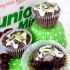 Junior Mint Brownie Bites
