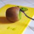 Kiwi Fruit