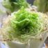 Lettuce