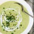 Leek and Potato Soup