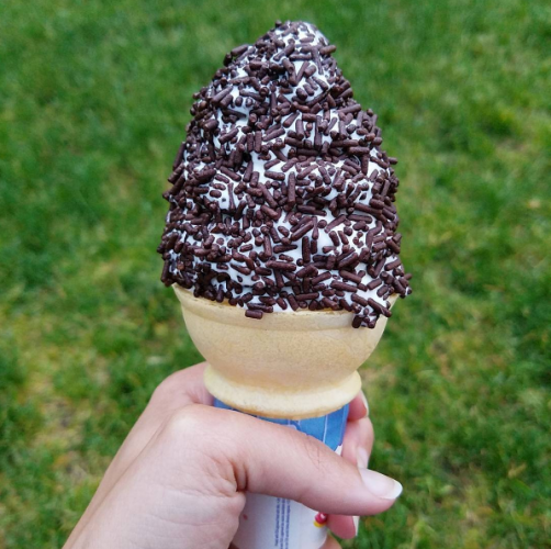 Bubbling Brook, Westwood, MA