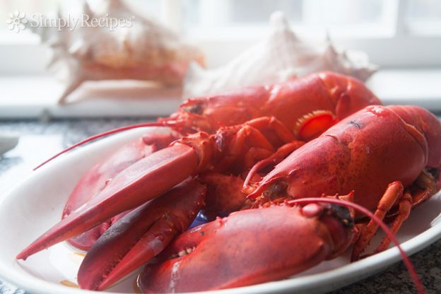 Myth: Lobsters Scream When You Boil Them Alive