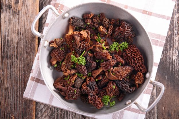 Morels