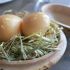 Noma - Quail Egg With Black Truffle