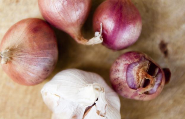ONIONS AND GARLIC - multifunctional and HEALTHY!