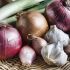 Don't Shy Away From Onion & Garlic