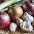 the Right onion