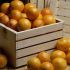 Oranges