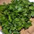Parsley, chervil, coriander, and chives