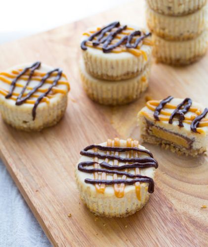 Peanut butter cup mini cheesecakes with pretzel crust