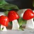 Mushroom Village Caprese Salad