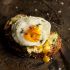 Poached Egg on Avocado Toast