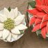 Make a Poinsettia cookie platter