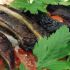 Crispy Portobello Steak