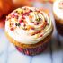 Pumpkin Spice Cupcakes with Caramel Frosting