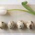 Quail eggs