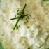 Myth: Cooking Your Risotto On High Will Speed Things Up