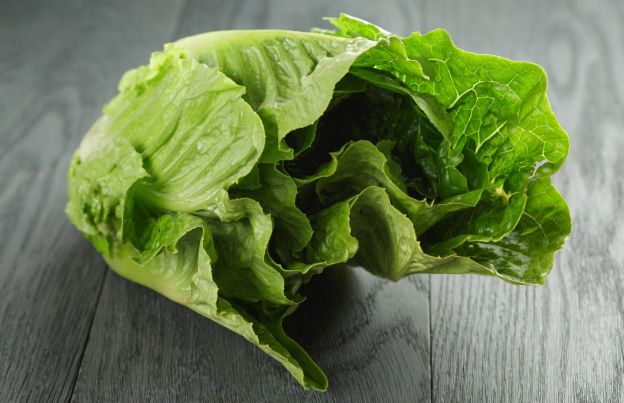 Lettuce