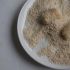 Dip The Croquettes In Breadcrumbs