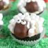 Sheep cupcakes