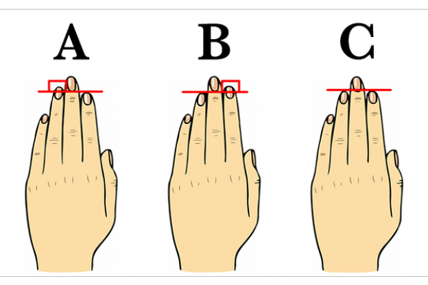 Understanding Your Hands