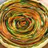 Spiral Vegetable Tart